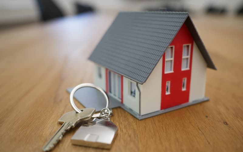 Real estate broker reviewing a property listing